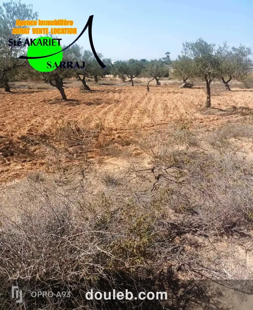 Lot d'invesstisement 5615m sur l'autoroute fokaia - Miniature 4