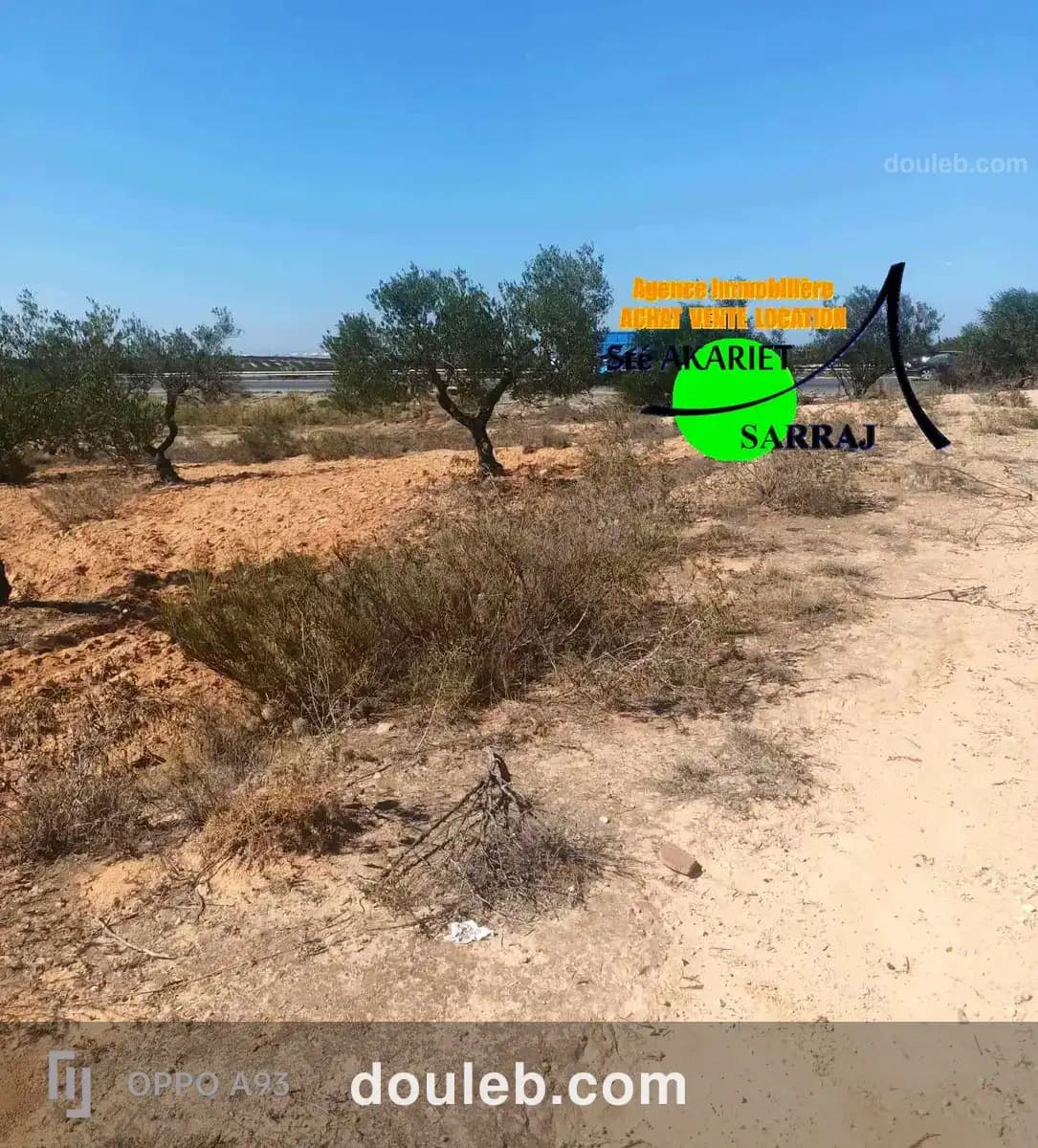 Lot d'invesstisement 5615m sur l'autoroute fokaia - Miniature 5