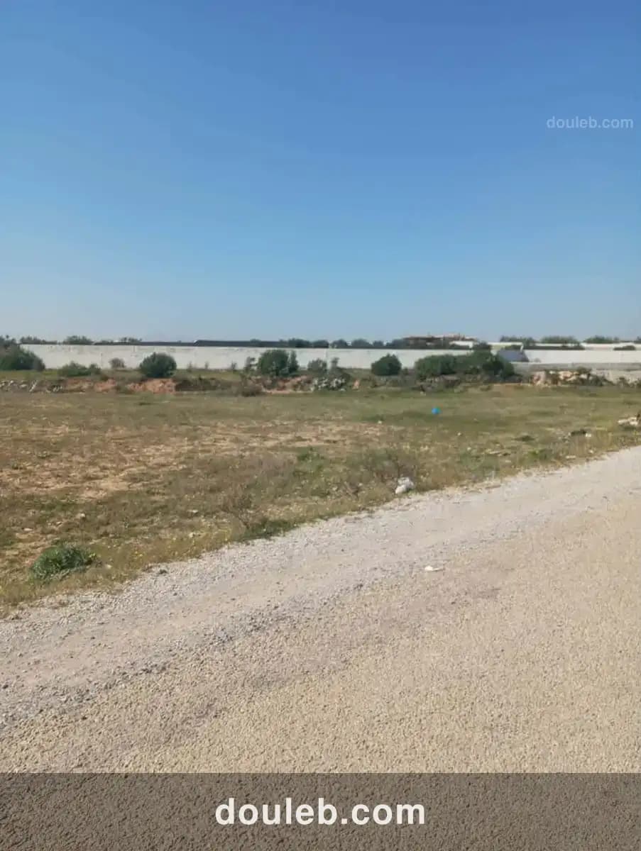 Av 1000m sur la route à sidi said - Photo 1