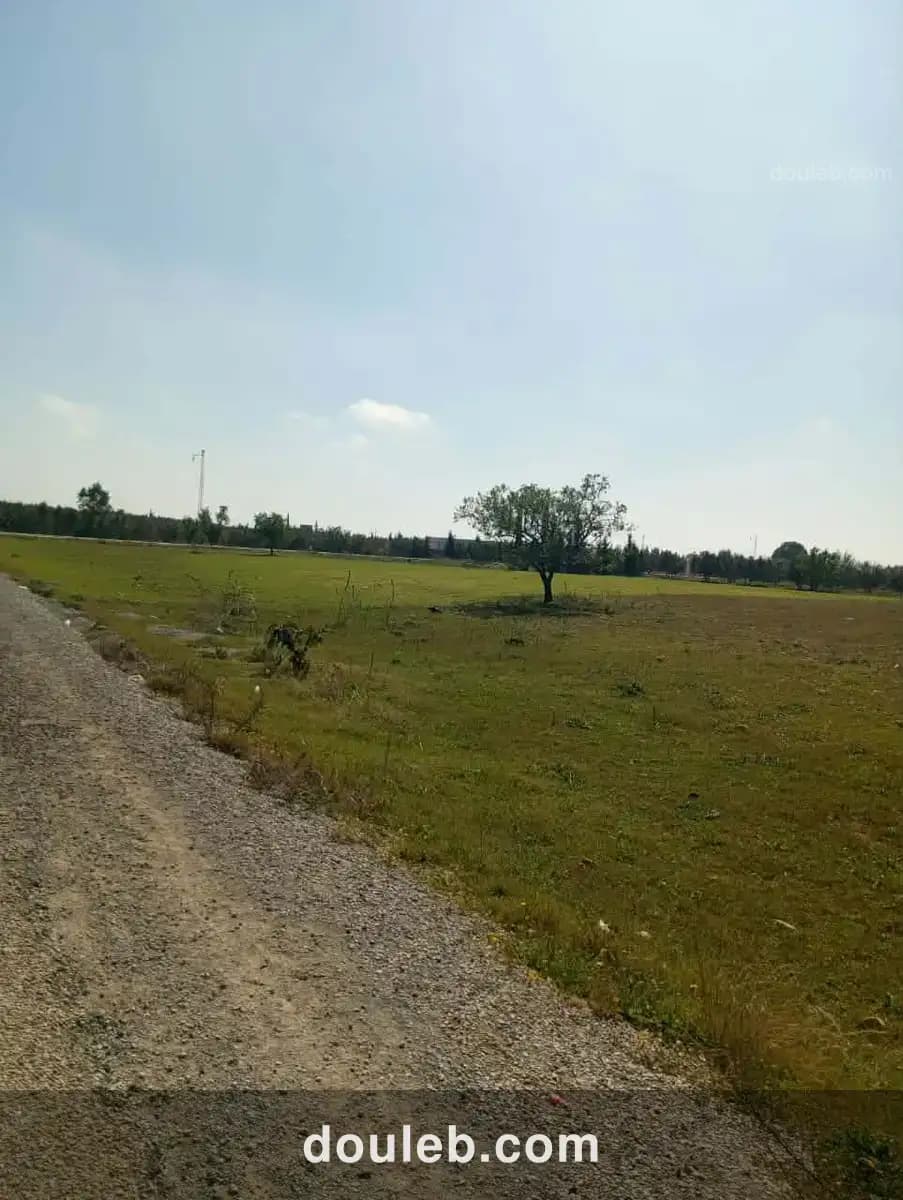 Av 1000m sur la route à sidi said - Miniature 2