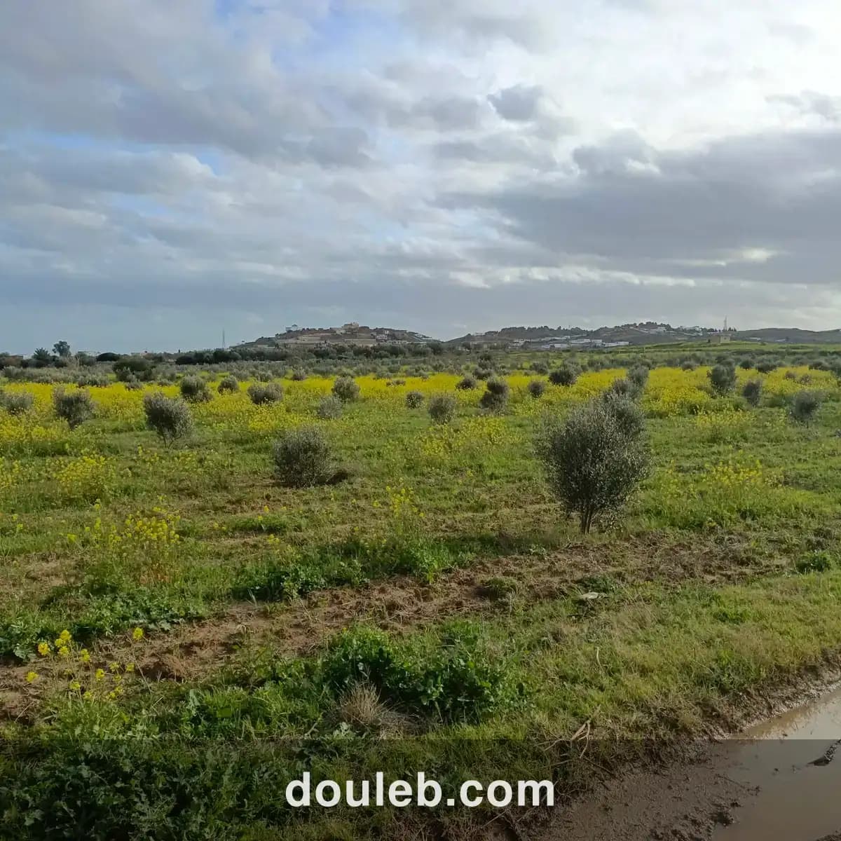 Av terrain de 1000m à 3000m à hammamet sud - Photo 1