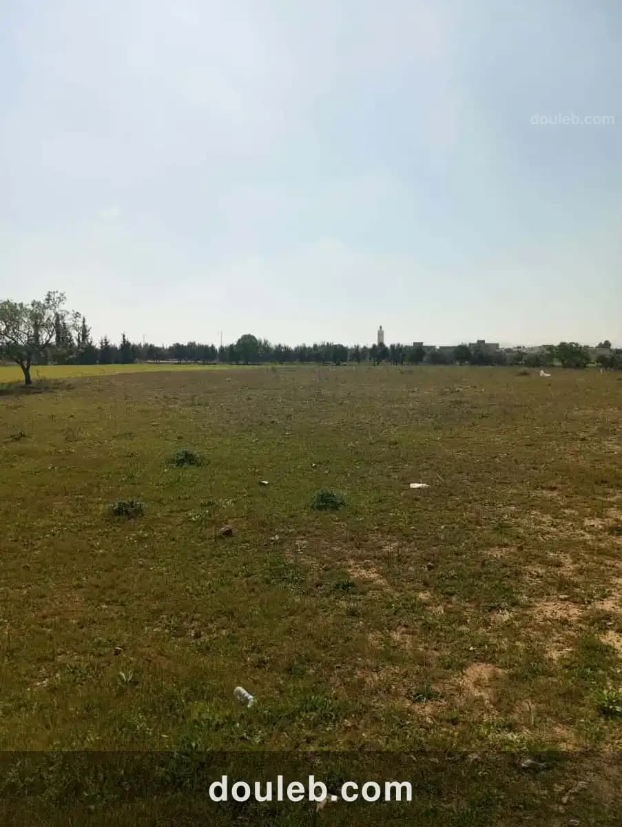 Av 1000m sur la route à sidi said - Miniature 3