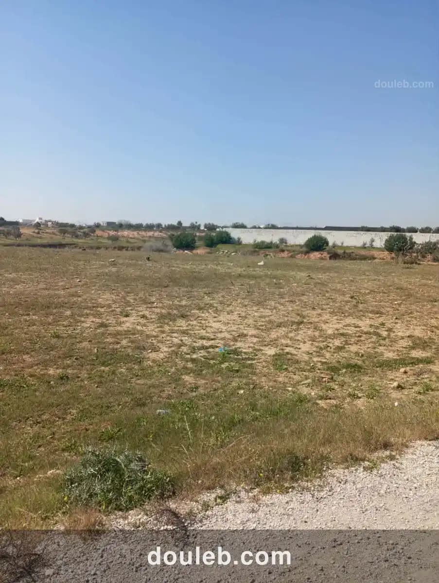 Av 1000m sur la route à sidi said - Miniature 4