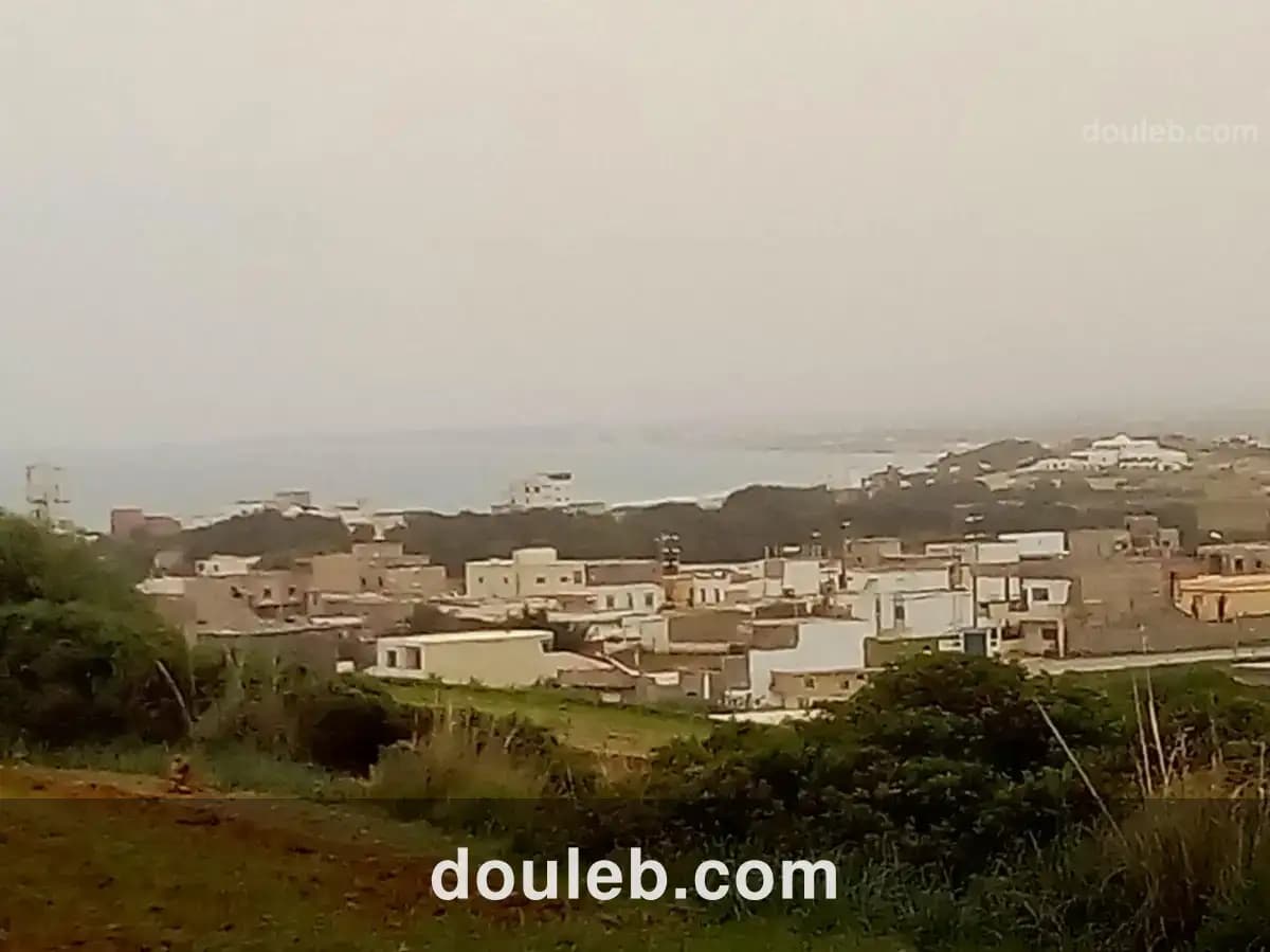 Bonne occasion - Miniature 5