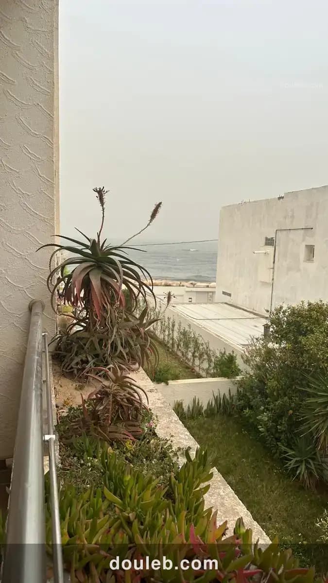 S3 kantaoui - Miniature 3