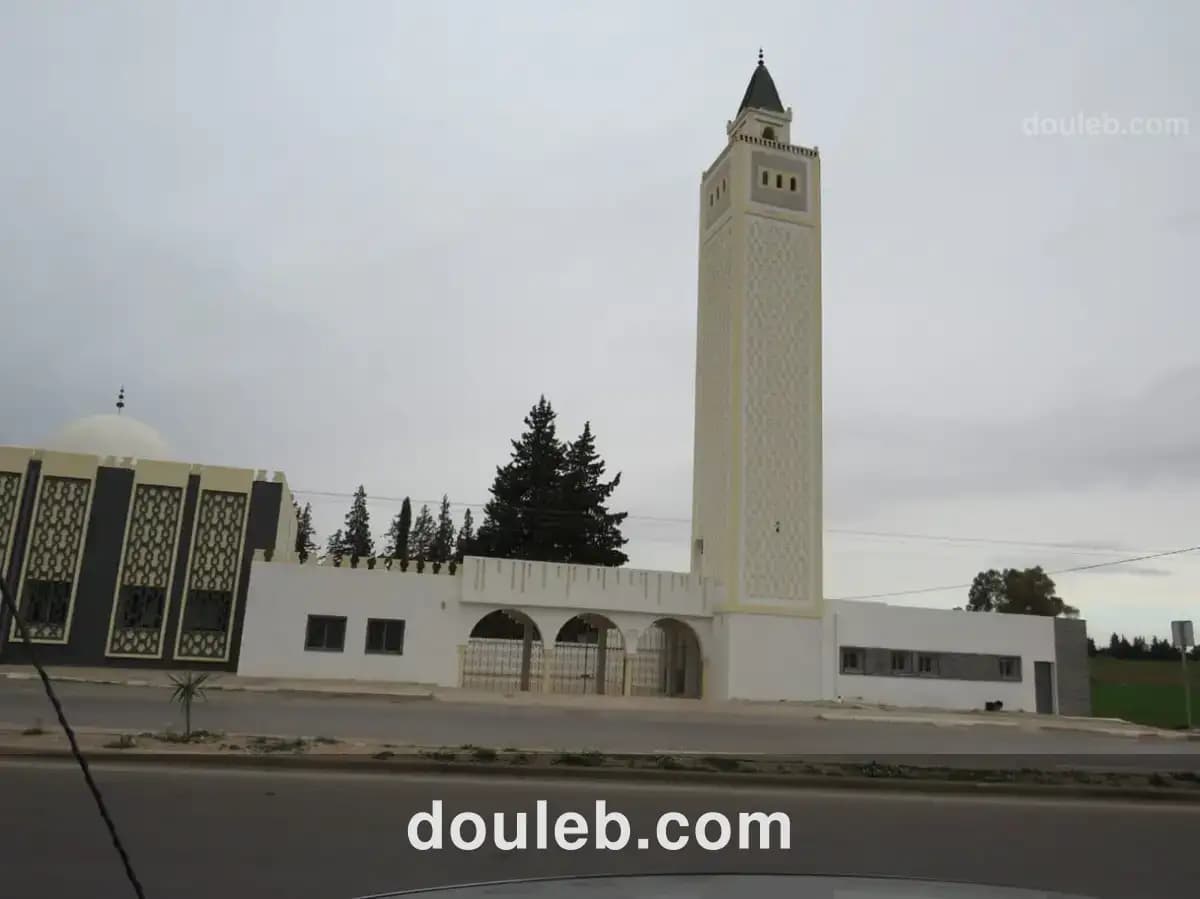 Magnifique 6936 m2 zaghouan - Photo 1