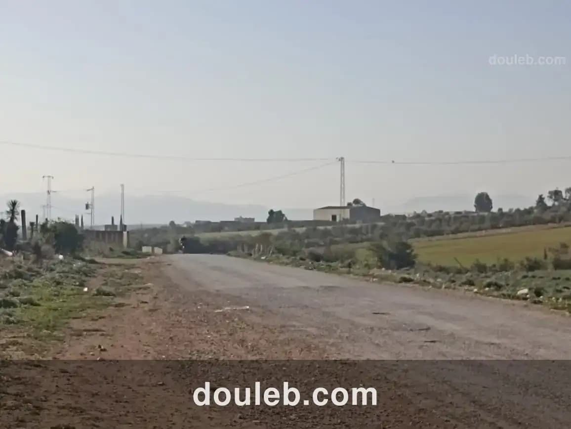 5 hectare 1h oliviers 4h nu - Photo 1