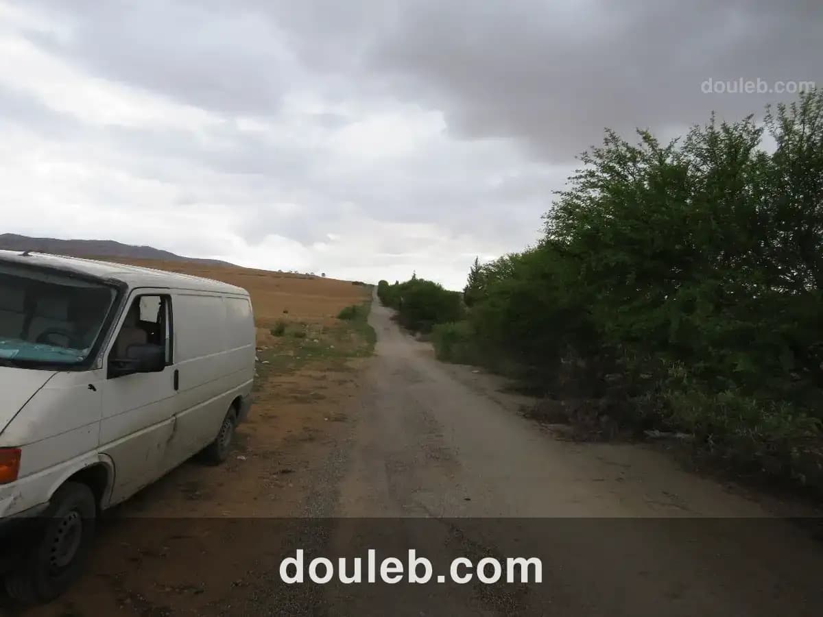 29 hectares à côté de l'autoroute - Photo 1