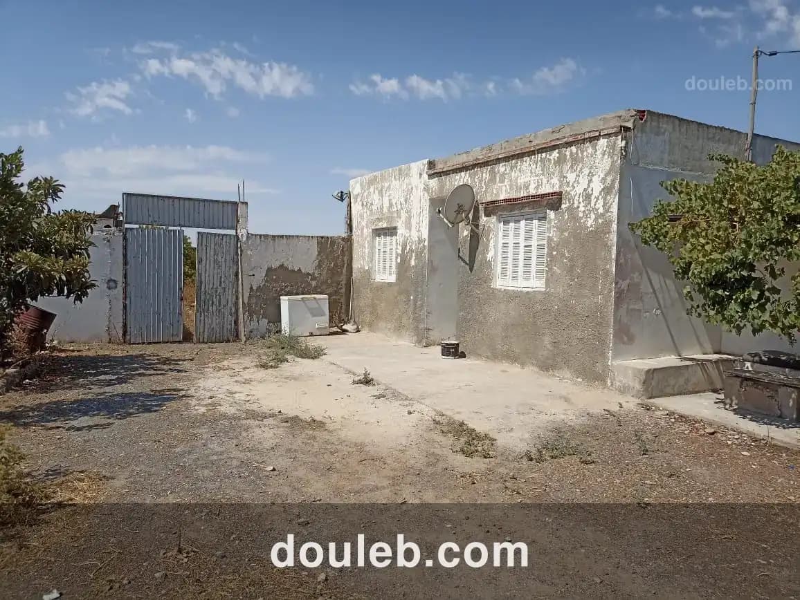 Petite ferme 47km de tunis - Photo 1