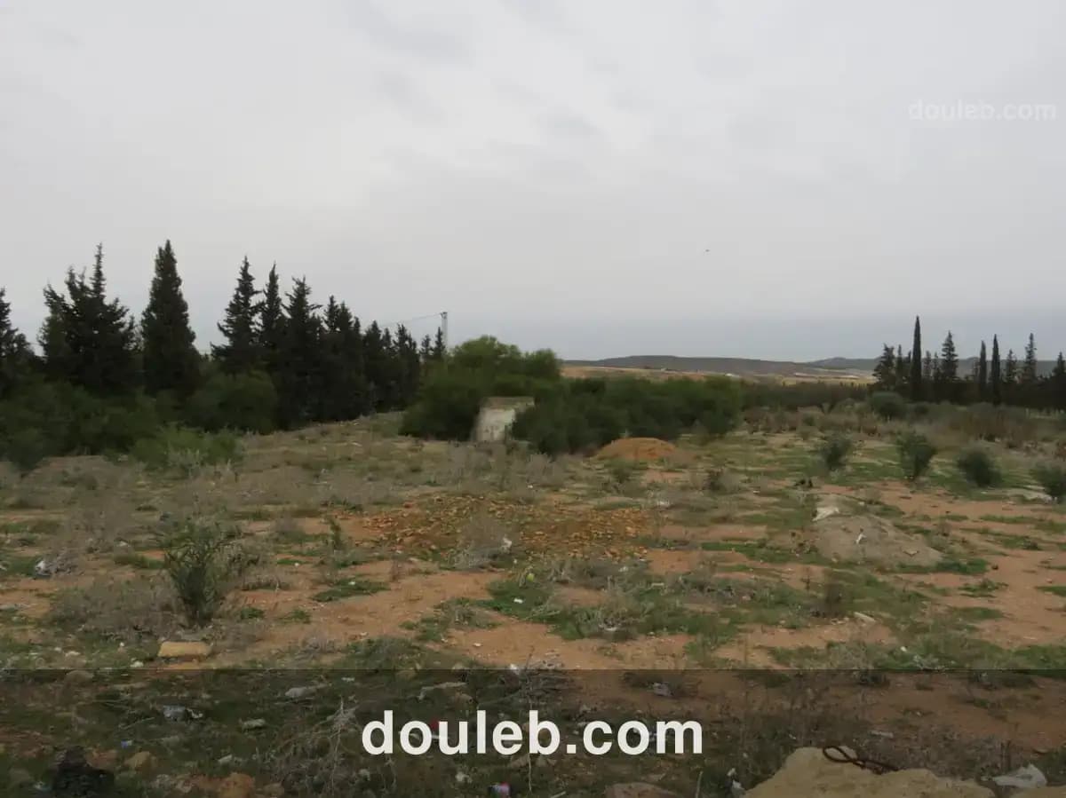 Magnifique 6936 m2 zaghouan - Miniature 2