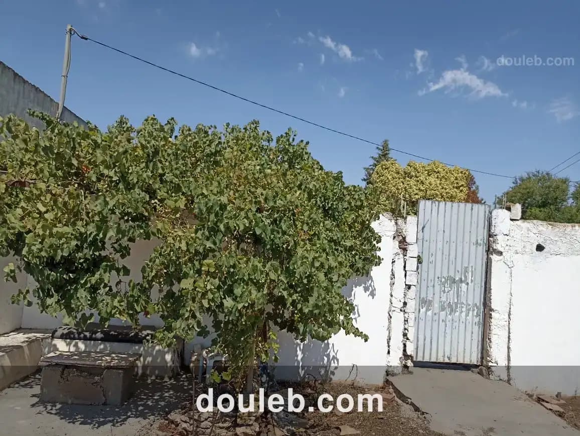 Petite ferme 47km de tunis - Miniature 2