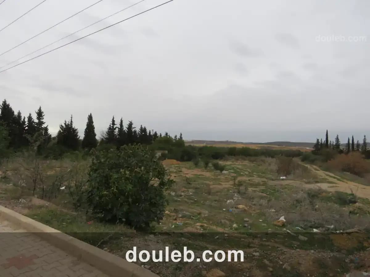 Magnifique 6936 m2 zaghouan - Miniature 3