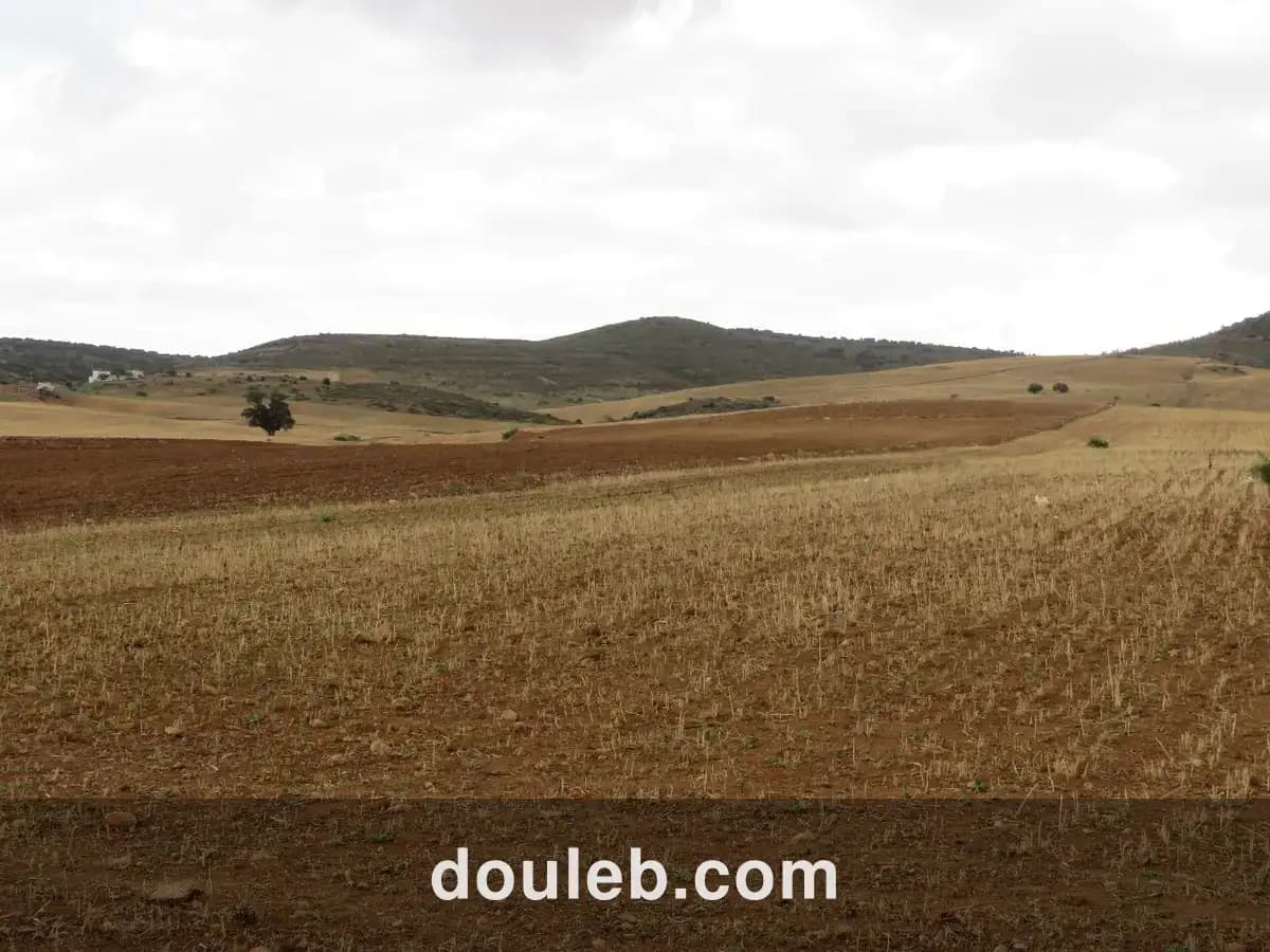 29 hectares à côté de l'autoroute - Miniature 2