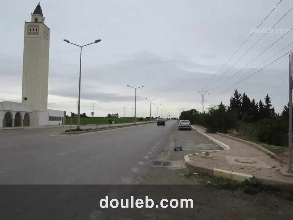 Magnifique 6936 m2 zaghouan - Miniature 4