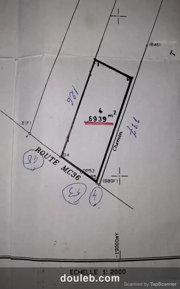 Magnifique 6936 m2 zaghouan - Miniature 5