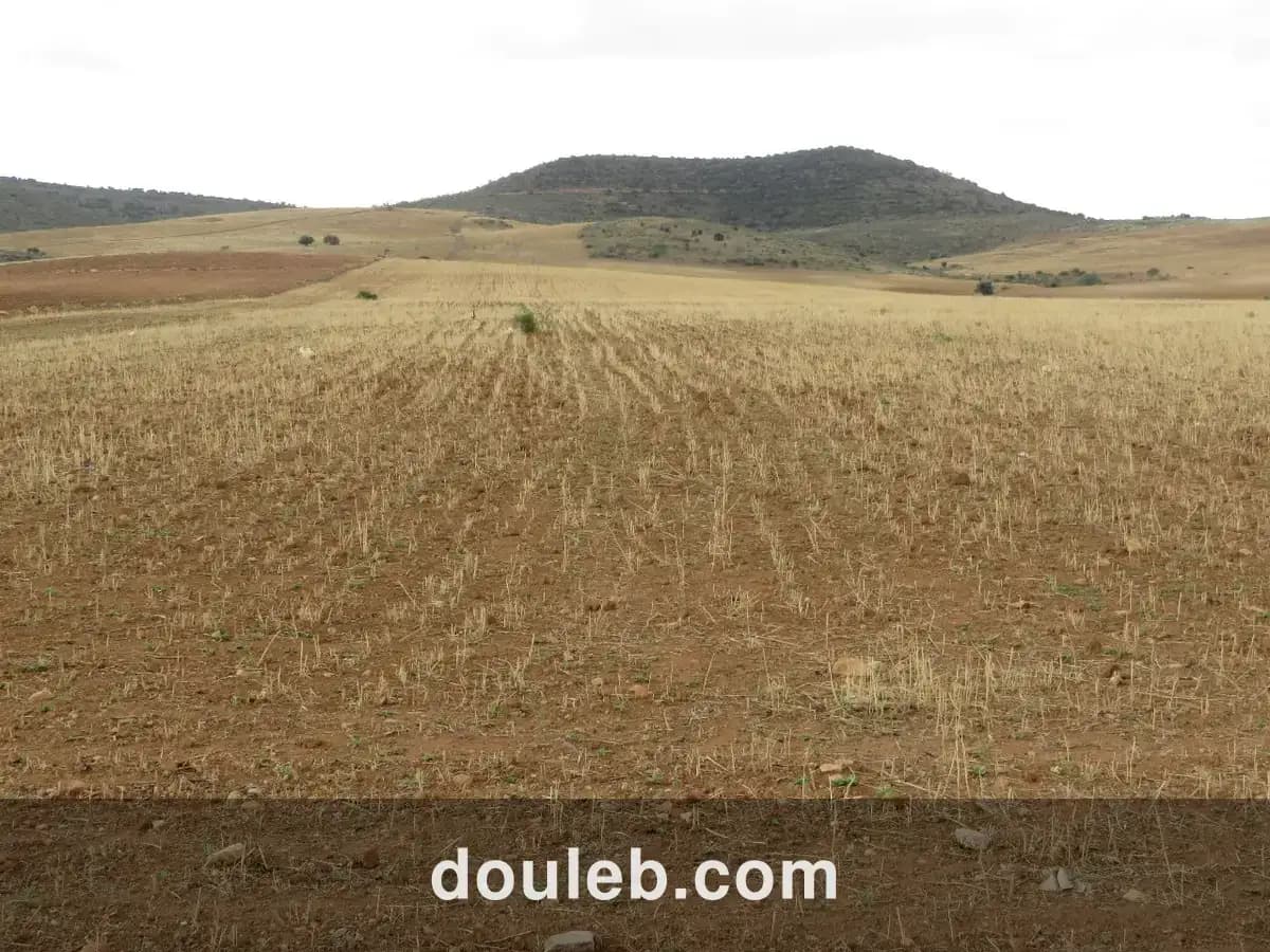 29 hectares à côté de l'autoroute - Miniature 3