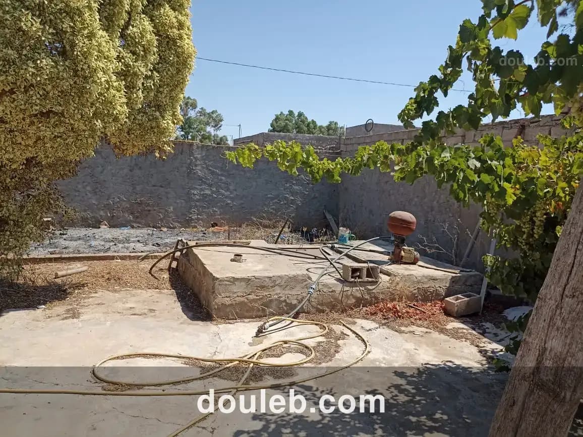 Petite ferme 47km de tunis - Miniature 4