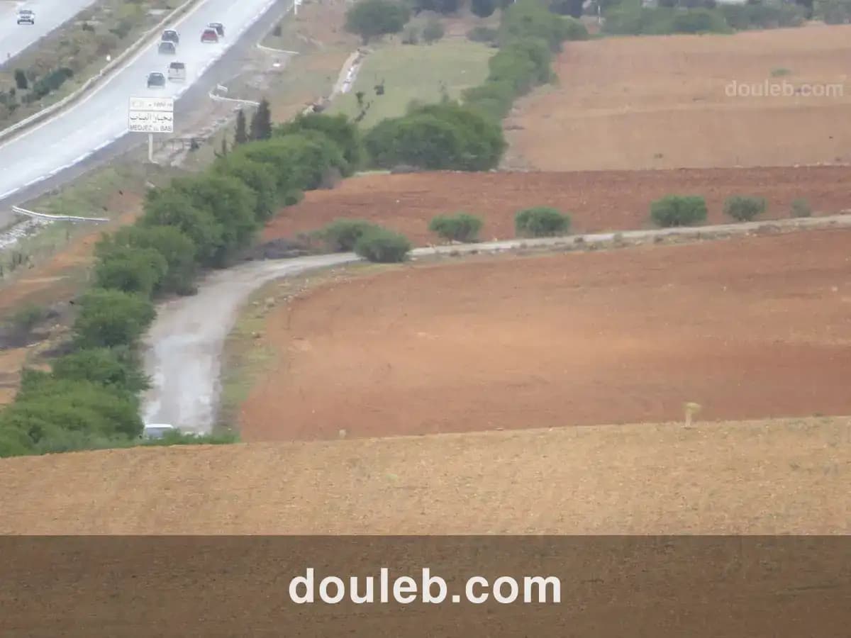 29 hectares à côté de l'autoroute - Miniature 5