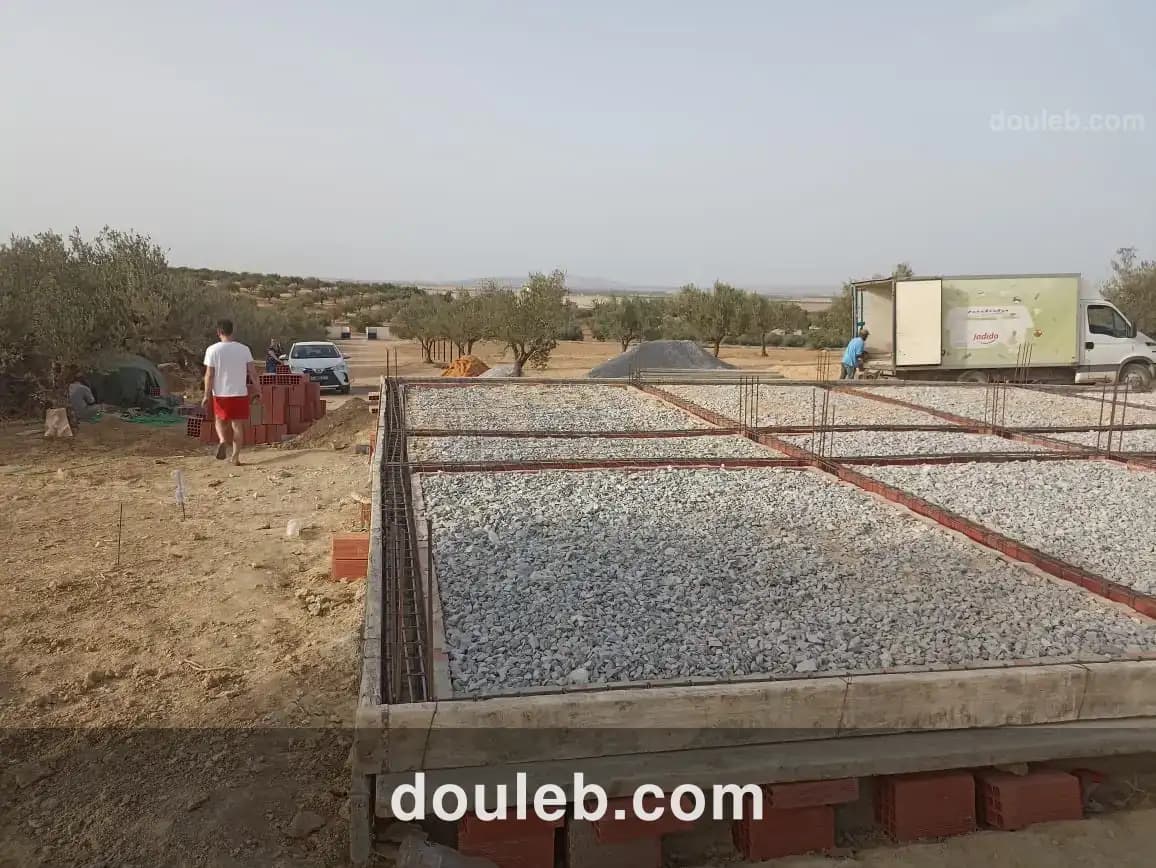 2 hectares 200 oliviers - Miniature 3