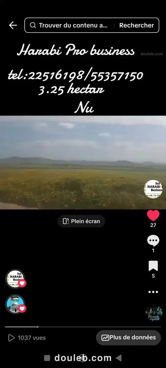 3 hectar terrain nu amnagaa - Miniature 2