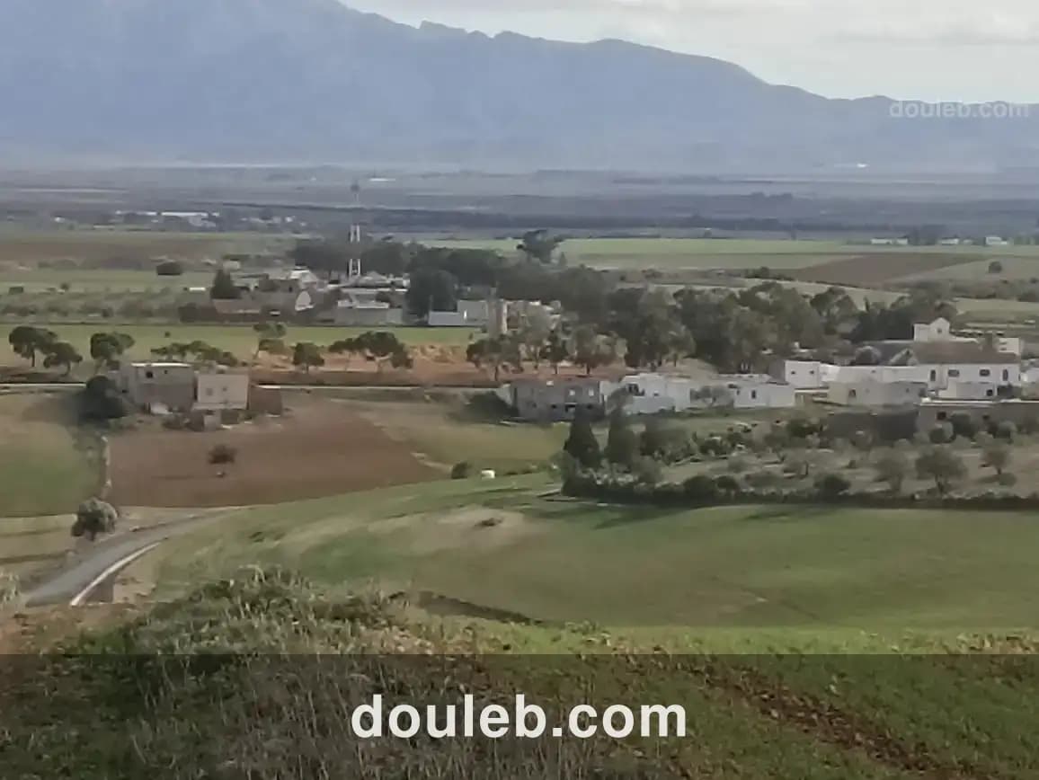 11 hectares 2 hectares d'oliviers 9 hectares nu - Miniature 5