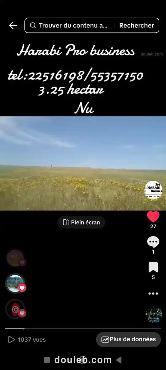 3 hectar terrain nu amnagaa - Miniature 4