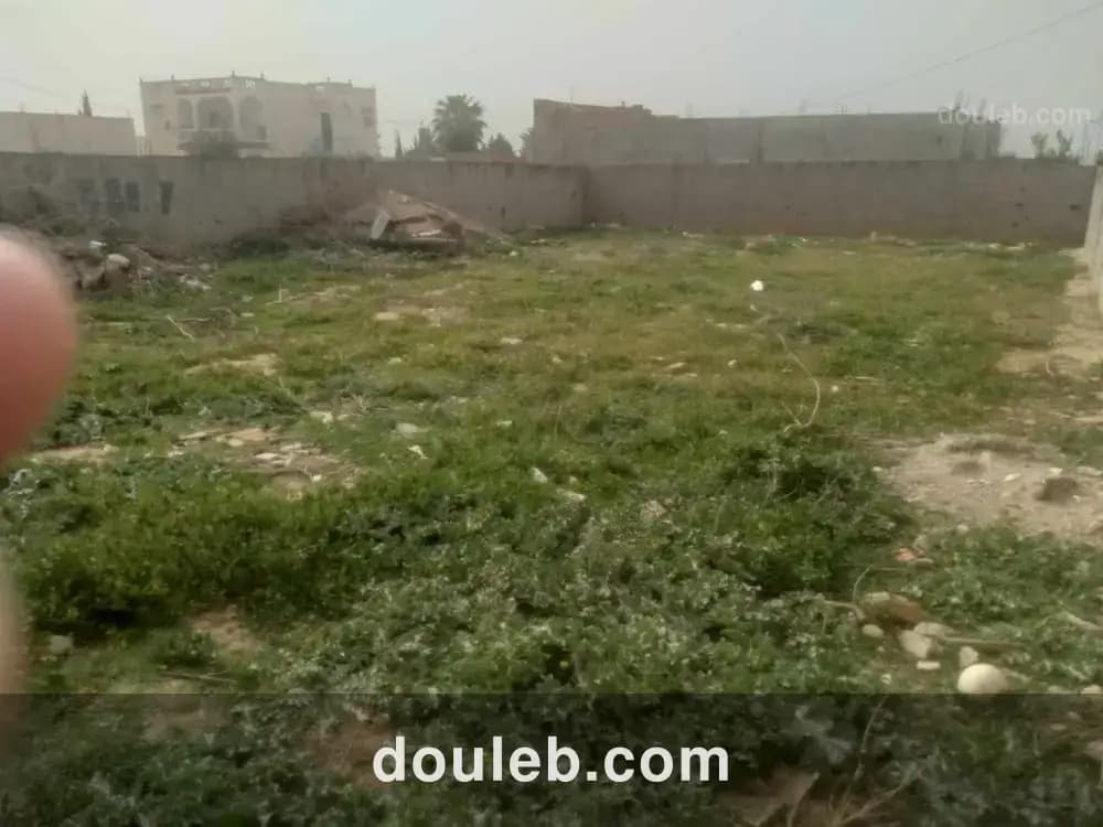 Bonne occasion - Miniature 5