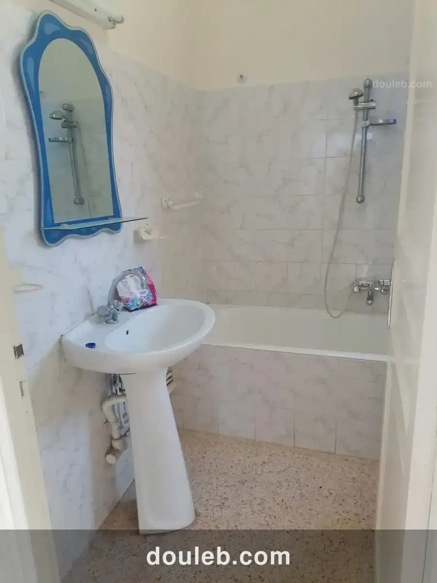 App s 1 a mrj 5 - Miniature 2