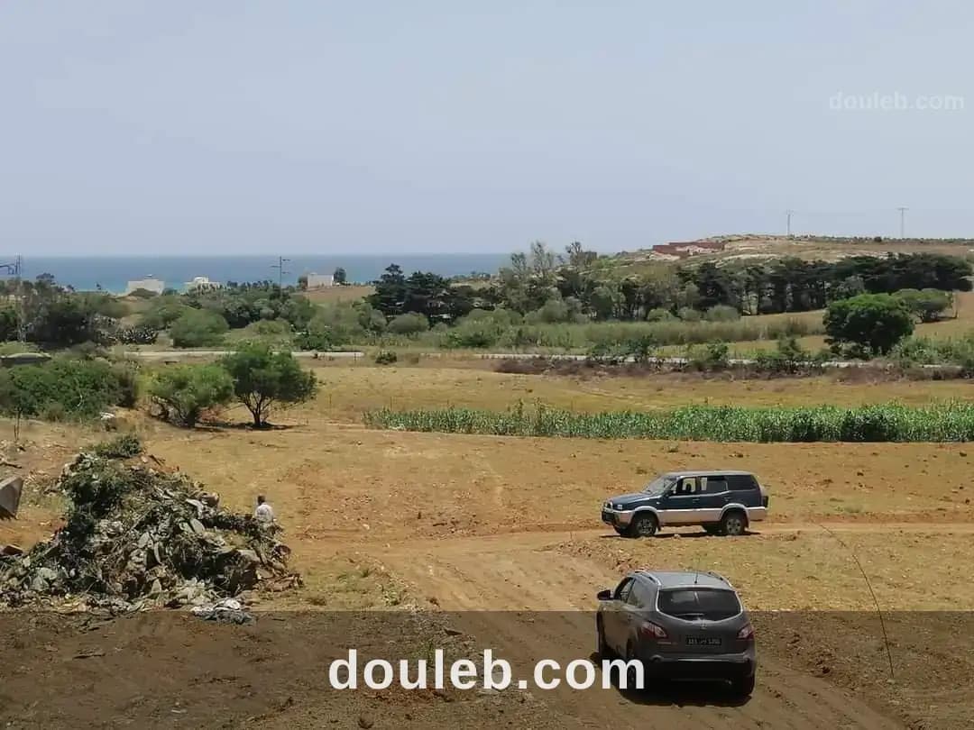 Des terrains a el hawaria - Photo 1
