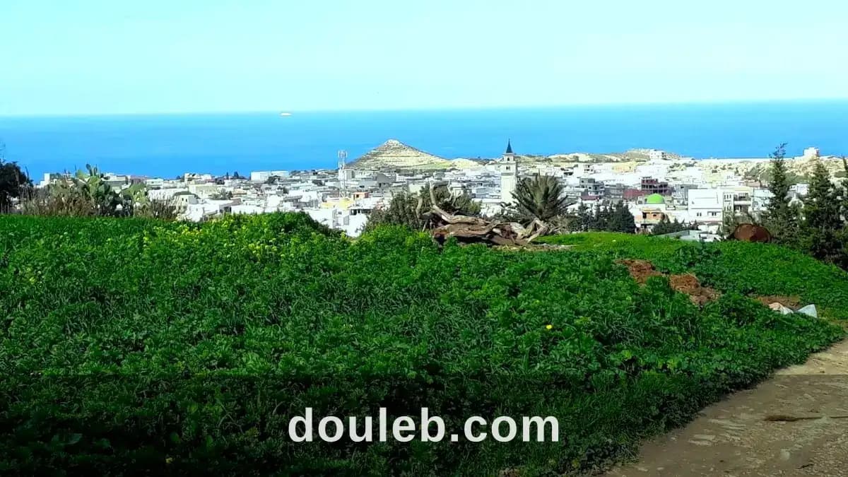 Terrain 820 m2 a rafraf - Photo 1