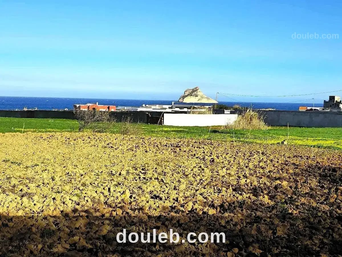 Terrain 500 m2 rafraf plage aïn mestir - Photo 1
