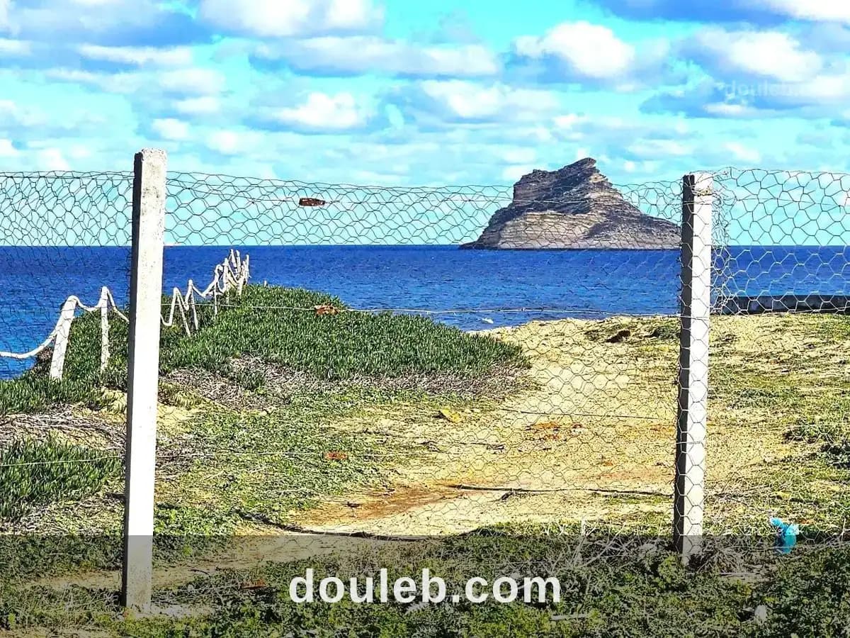 Terrain front mer 2200 m2 rafraf plage ain mestir - Photo 1