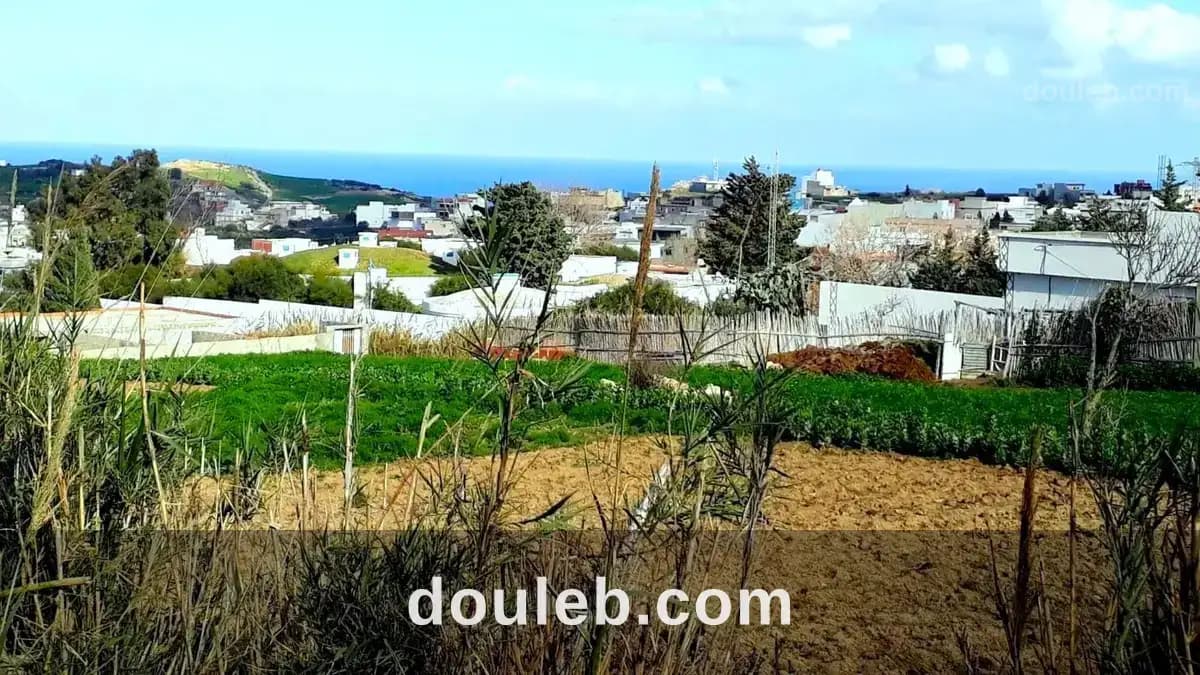 Terrain 820 m2 a rafraf - Miniature 2