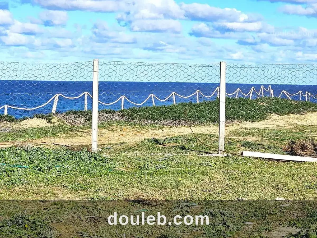 Terrain front mer 2200 m2 rafraf plage ain mestir - Miniature 2