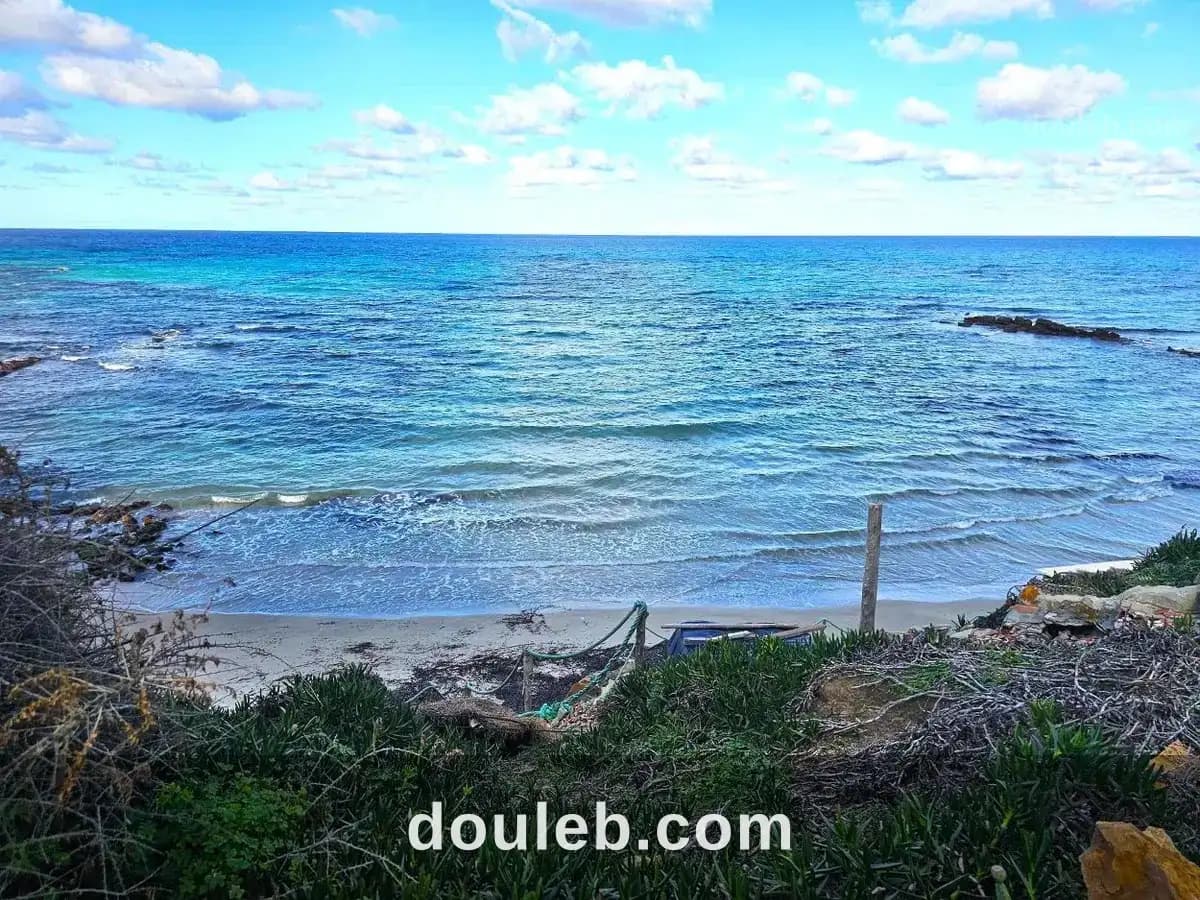 Terrain front mer 2200 m2 rafraf plage ain mestir - Miniature 3