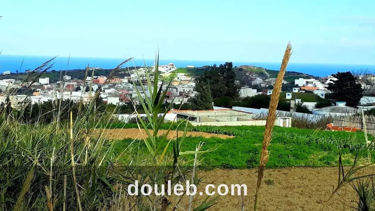 Terrain 820 m2 a rafraf - Miniature 5