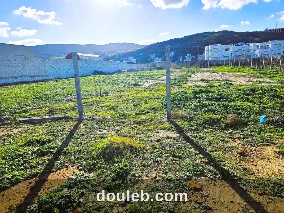 Terrain front mer 2200 m2 rafraf plage ain mestir - Miniature 4