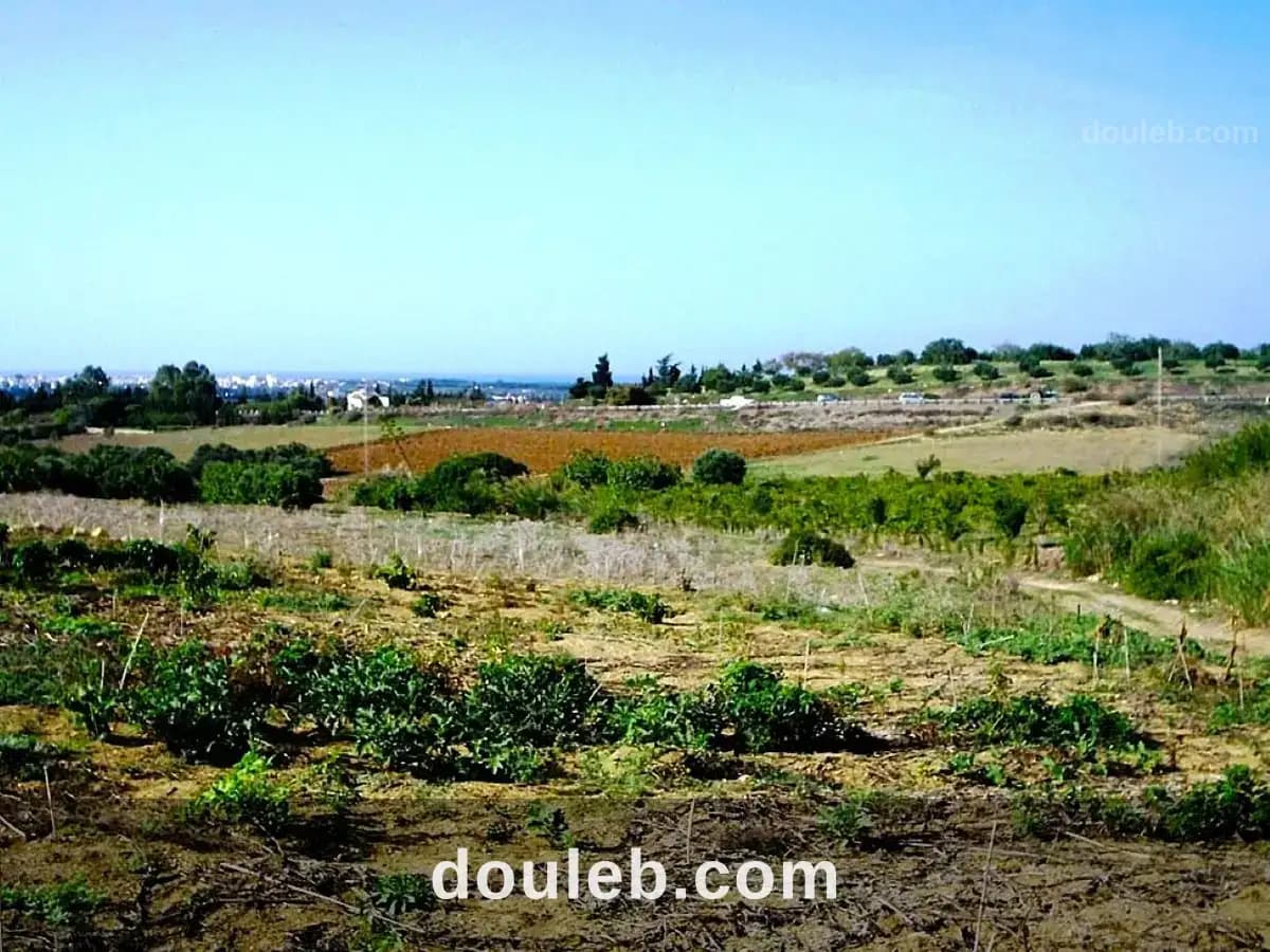 Terrain 5300 m2 a rafraf - Miniature 2