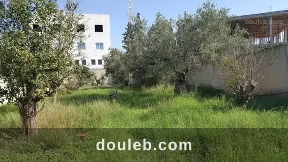 Terrain de 500m en face gare birbouregba hammamet - Photo 1