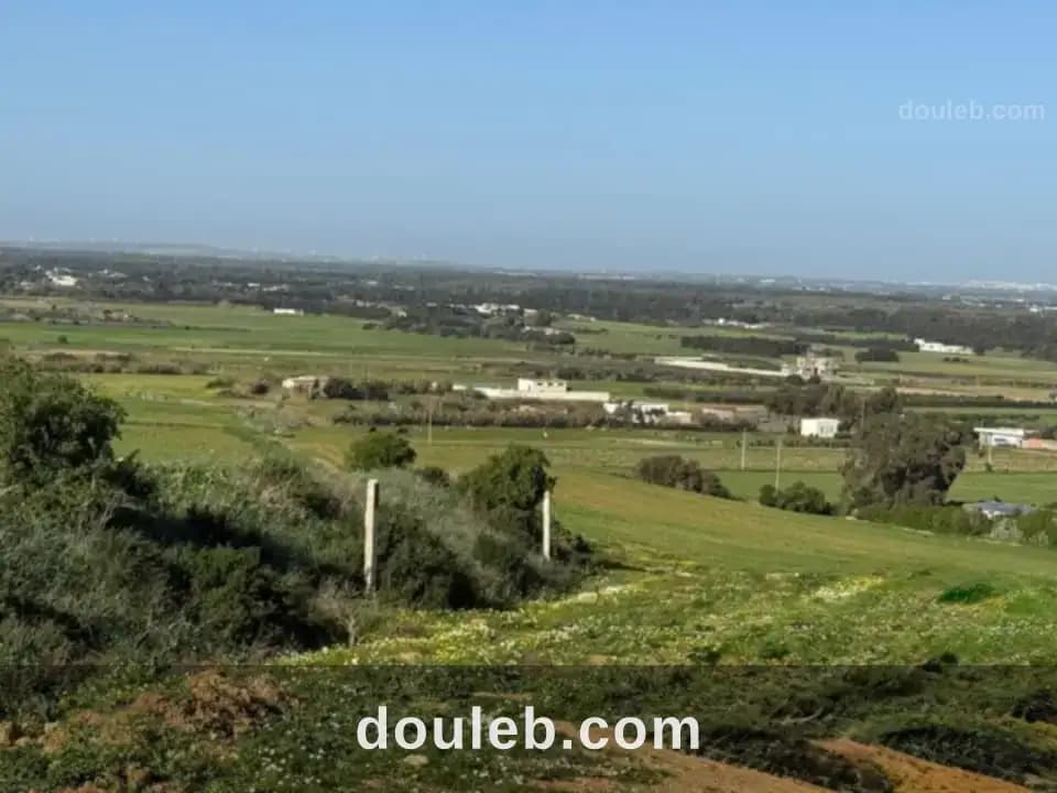 Terrain a azmour - Photo 1