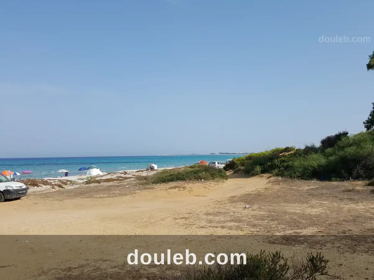 Terrain à partager par 5 personne - Photo 1