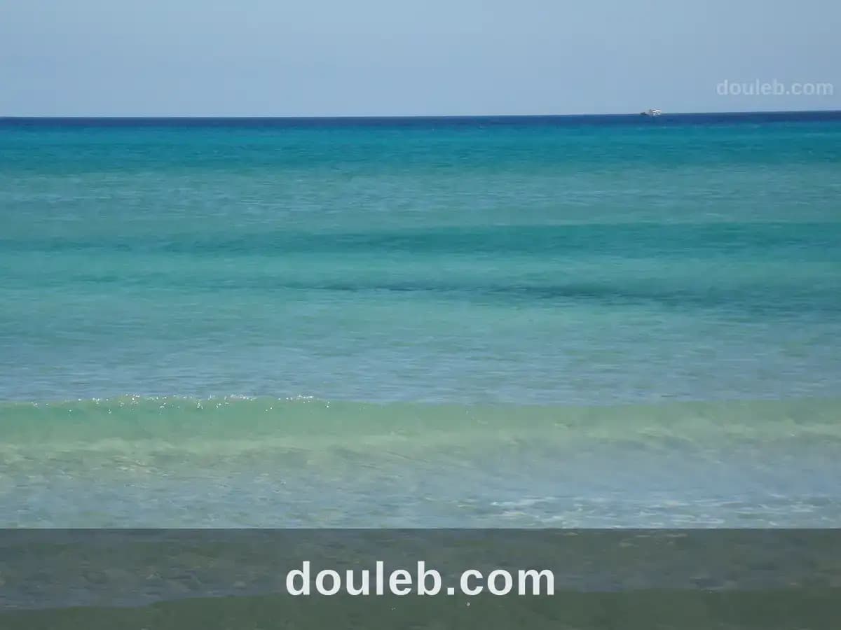 Terrain de 5 hectare au bord de la mer - Photo 1