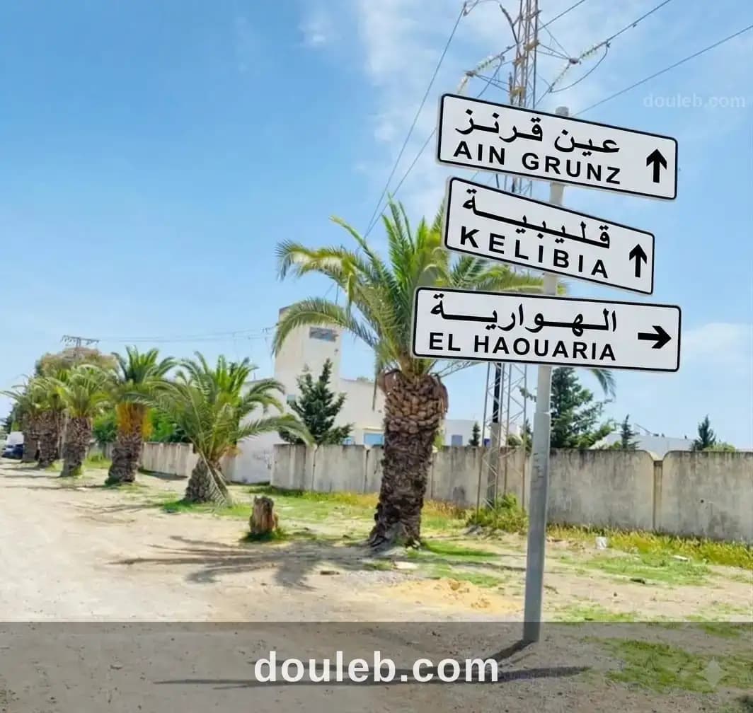 Terrain a ain grenz kelibia - Photo 1