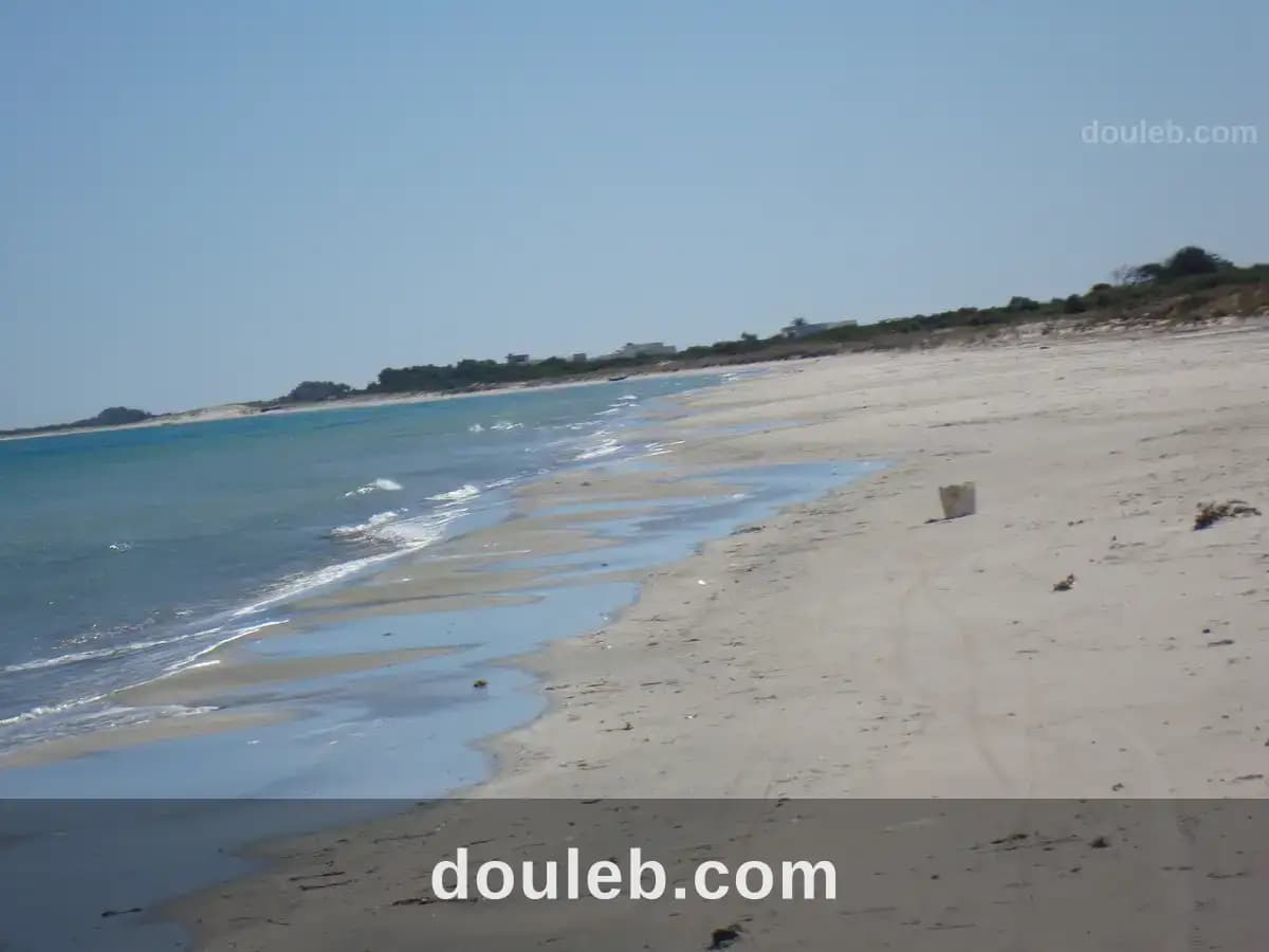 Affaire de terrain à 200 m a la plage - Photo 1