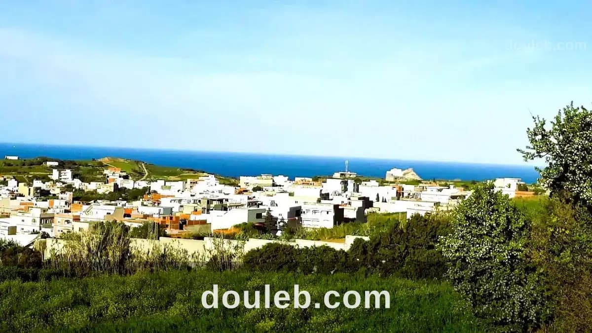 Terrain 1500 m2 a rafraf - Photo 1