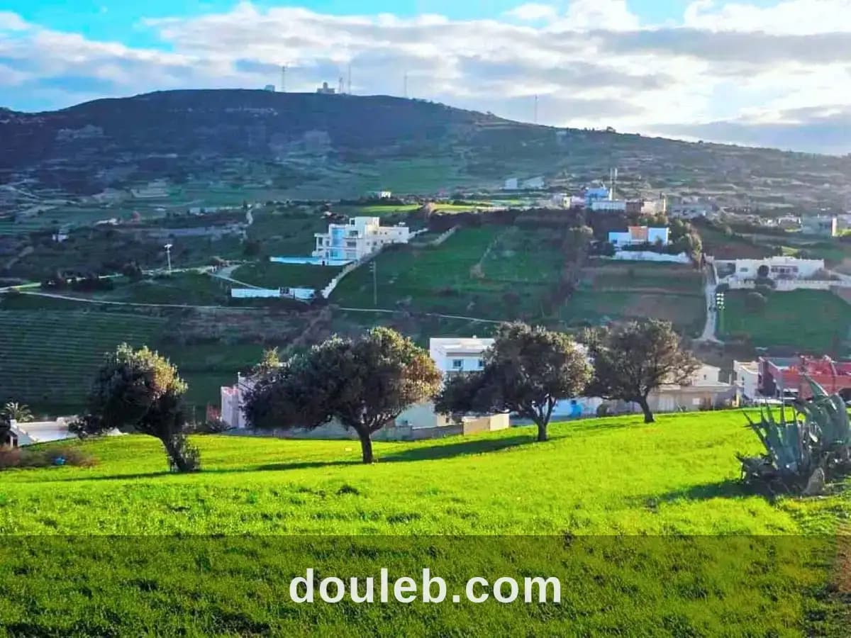Terrain 800 m2 a rafraf - Photo 1