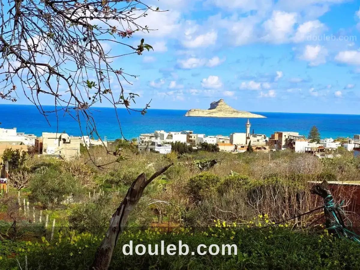 Terrain 1060 m2 rafraf plage lahmeri - Photo 1