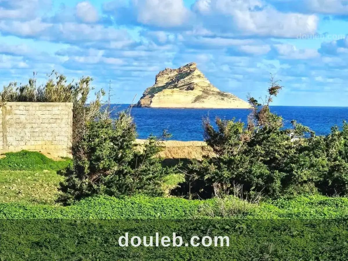 Terrain 1050 m2 rafraf plage ain mestir - Photo 1