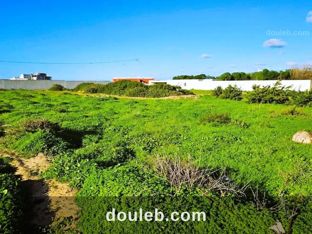 Terrain 1050 m2 rafraf plage ain mestir - Miniature 2