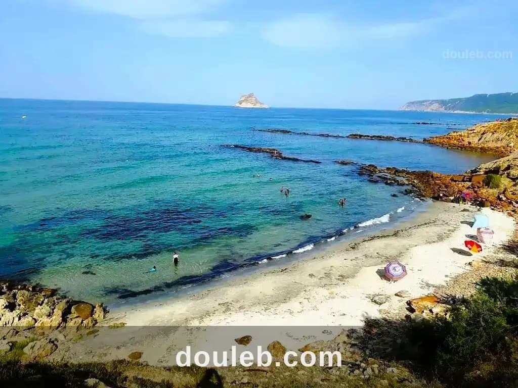Terrain 1050 m2 rafraf plage ain mestir - Miniature 3